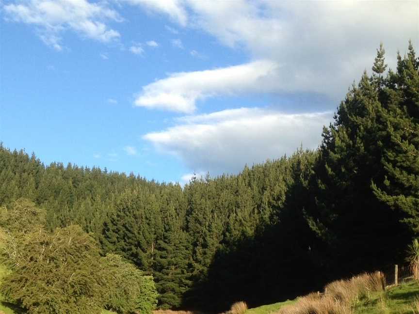 Hunters Moon, Mosgiel (Suburb), New Zealand