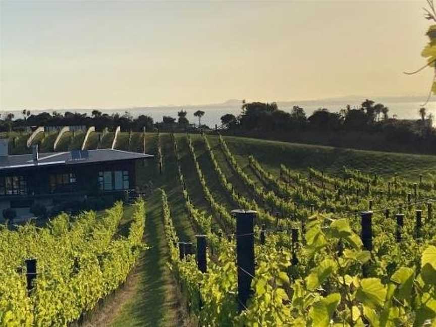 La Bodega, Waiheke Island (Suburb), New Zealand