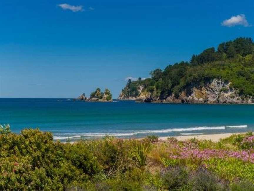 Sandy Doorstep - Whangamata Beachfront Holiday Apartment, Whangamata, New Zealand