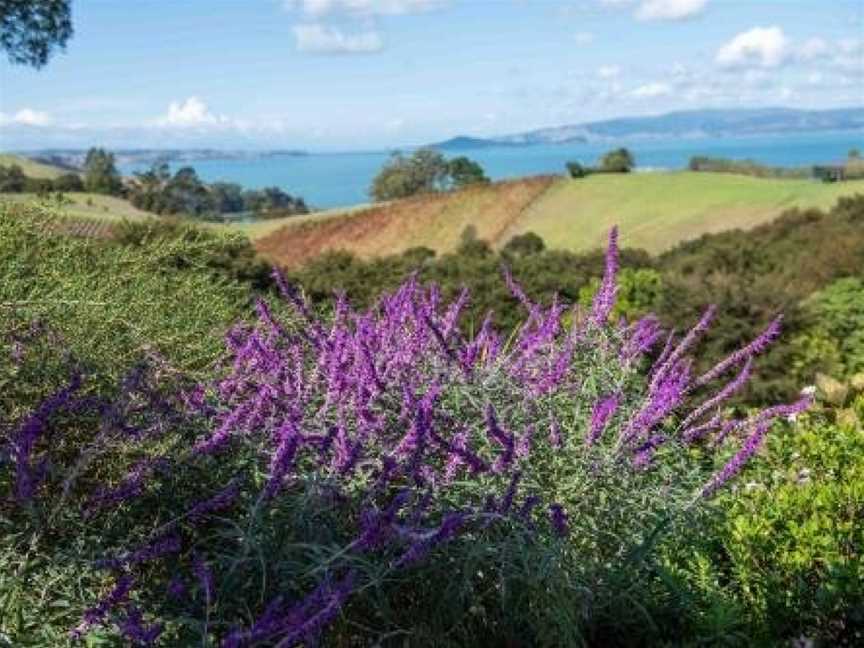 Waiheke Luxury Blue and Green Rooms, Waiheke Island (Suburb), New Zealand