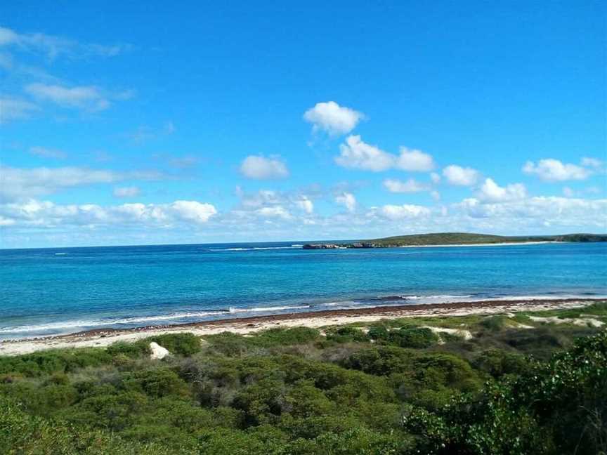 Surfing at Lancelin, Tourist attractions in Lancelin