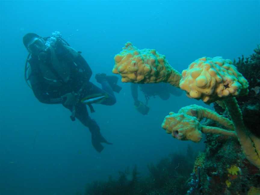 Diving at Fish Eyes, Tourist attractions in Bremer Bay