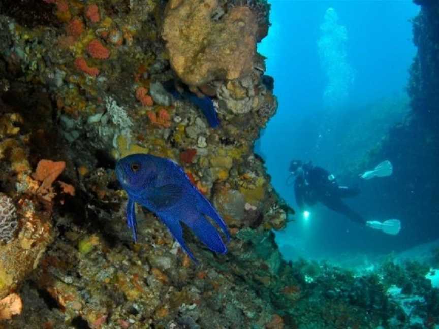 Diving at Crystal Palace, Tourist attractions in Rottnest Island