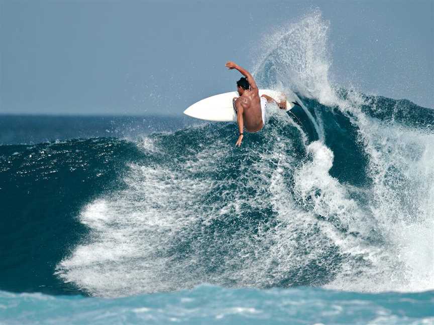 Surfing at Fencelines, Tourist attractions in Gnaraloo