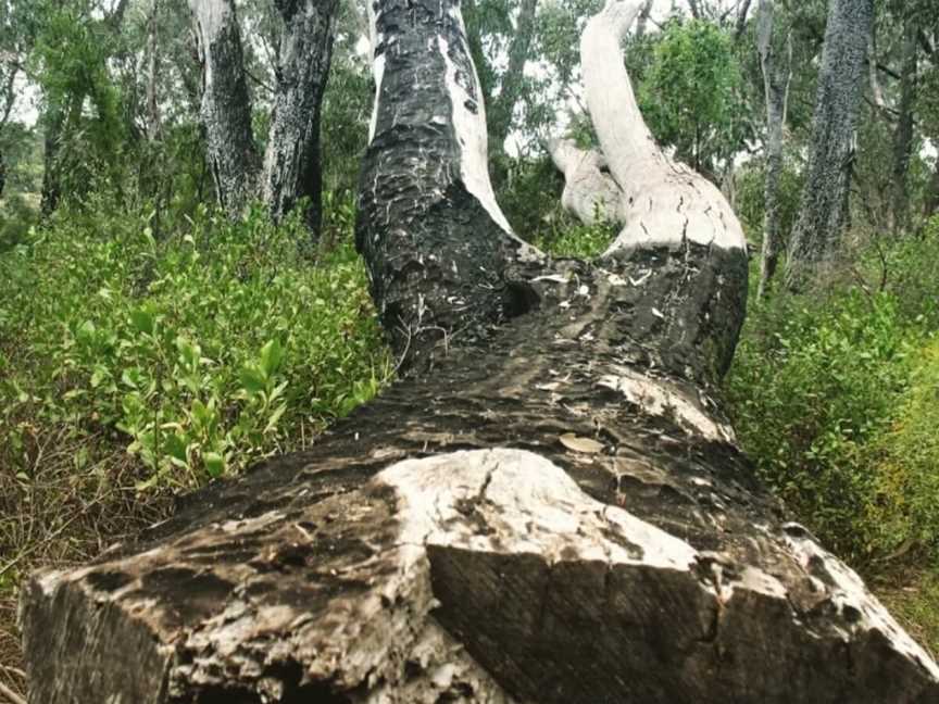 Ghost House Walk Trail, Tourist attractions in Yanchep