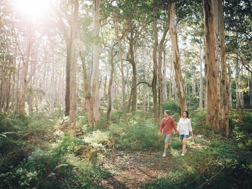 Boranup Karri Forest, Tourist attractions in Boranup