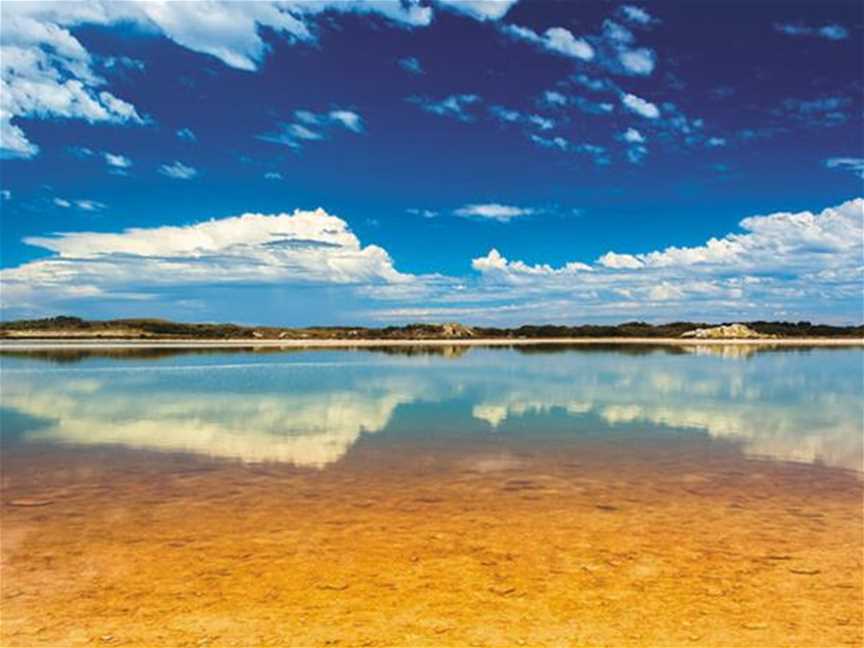 Government House Lake, Tourist attractions in Rottnest Island