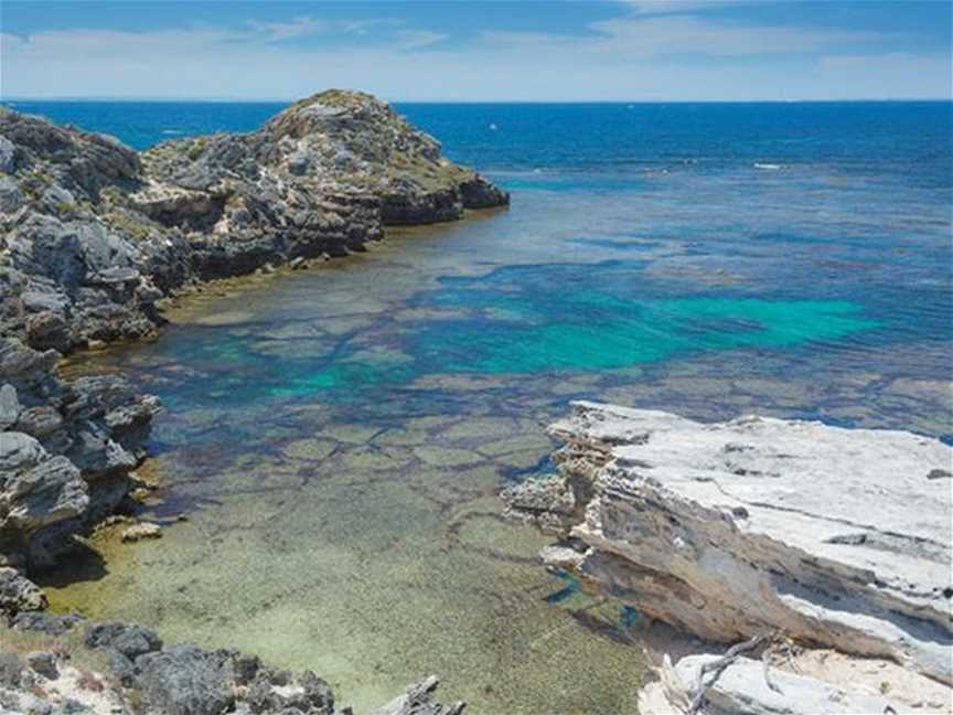 Snorkelling In Jeannie's Pool, Tourist attractions in Rottnest Island