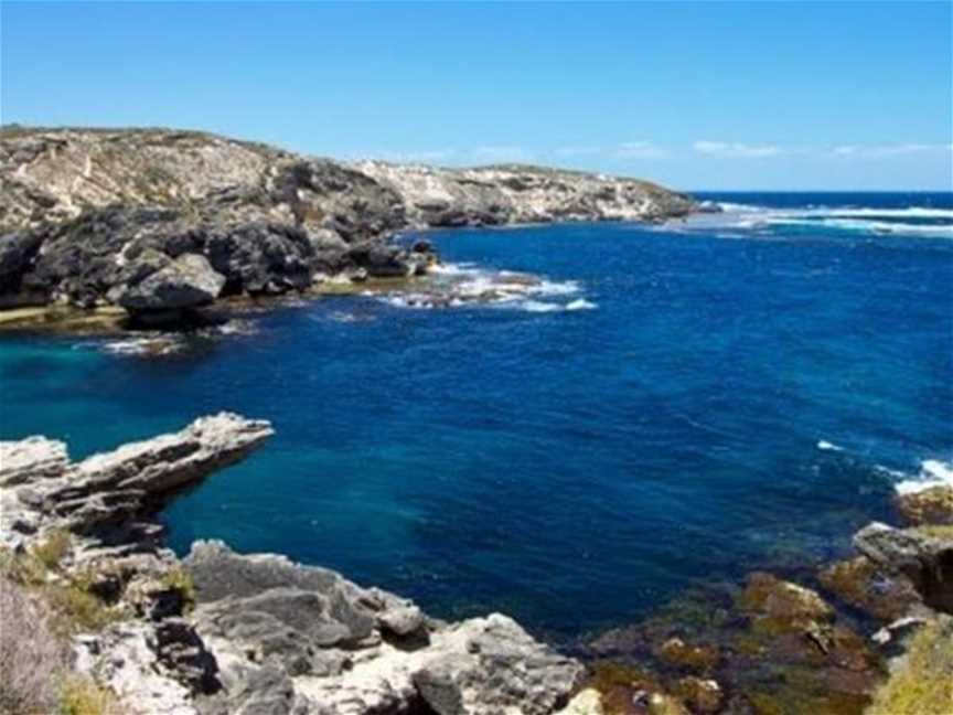 Wilson Bay, Tourist attractions in Rottnest Island