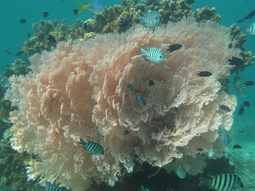 Barrow Island Marine Management Area