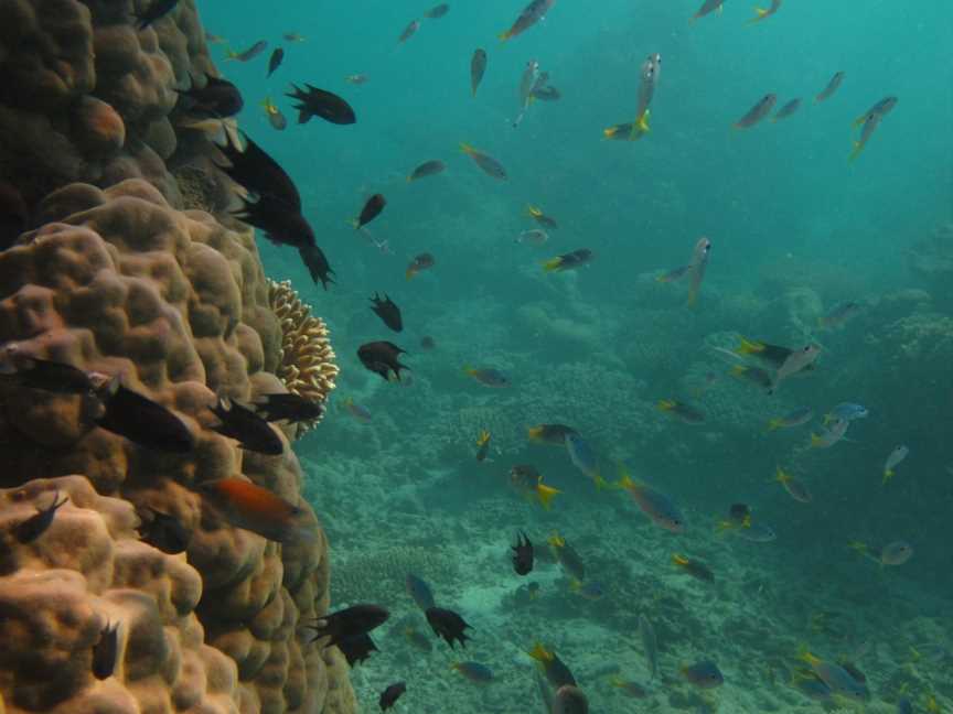 Barrow Island Marine Management Area