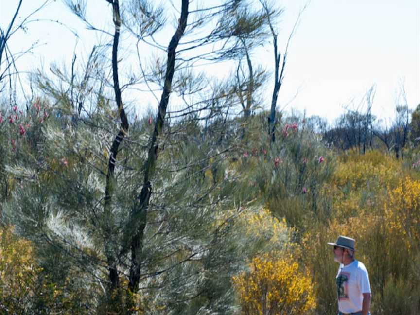 Boorabbin National Park