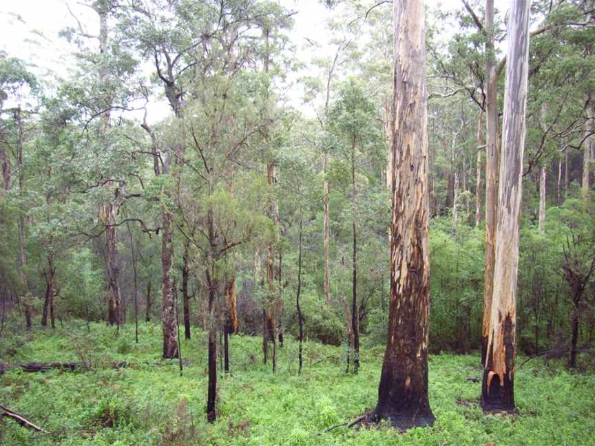 Boorara - Gardner National Park