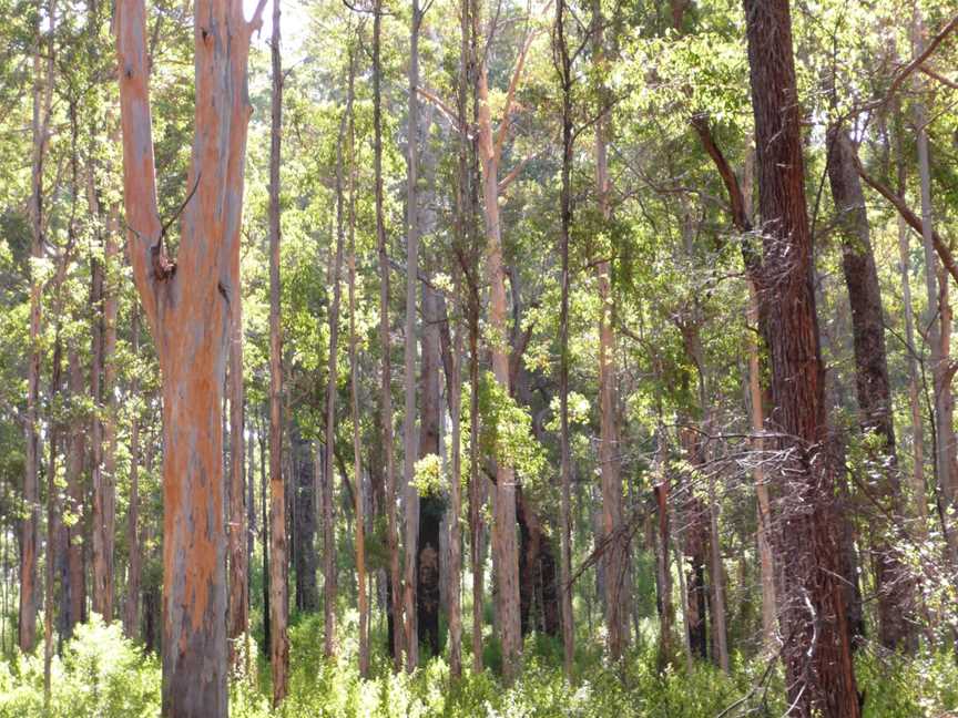 Brockman National Park