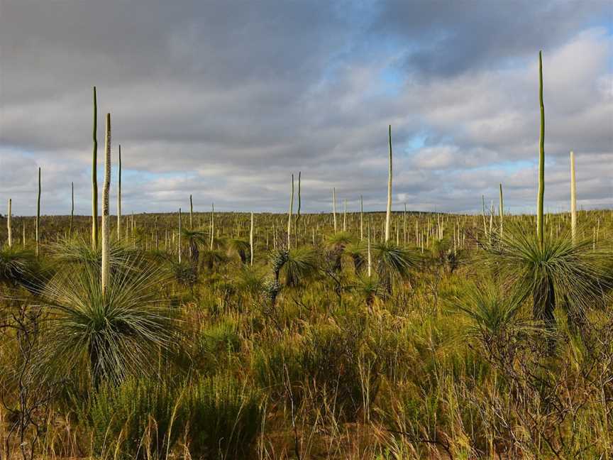 Easter National Park