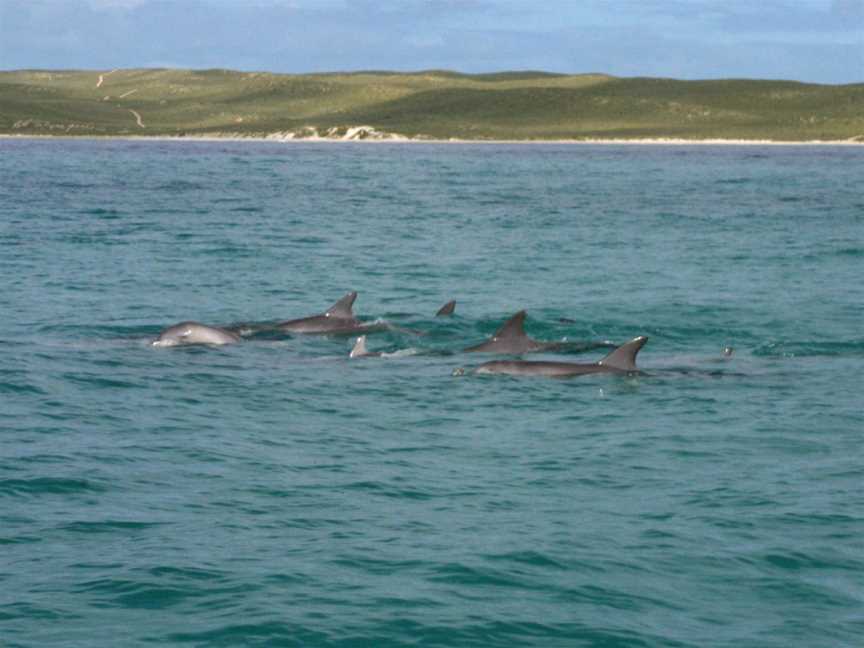 Shark Bay Marine Park