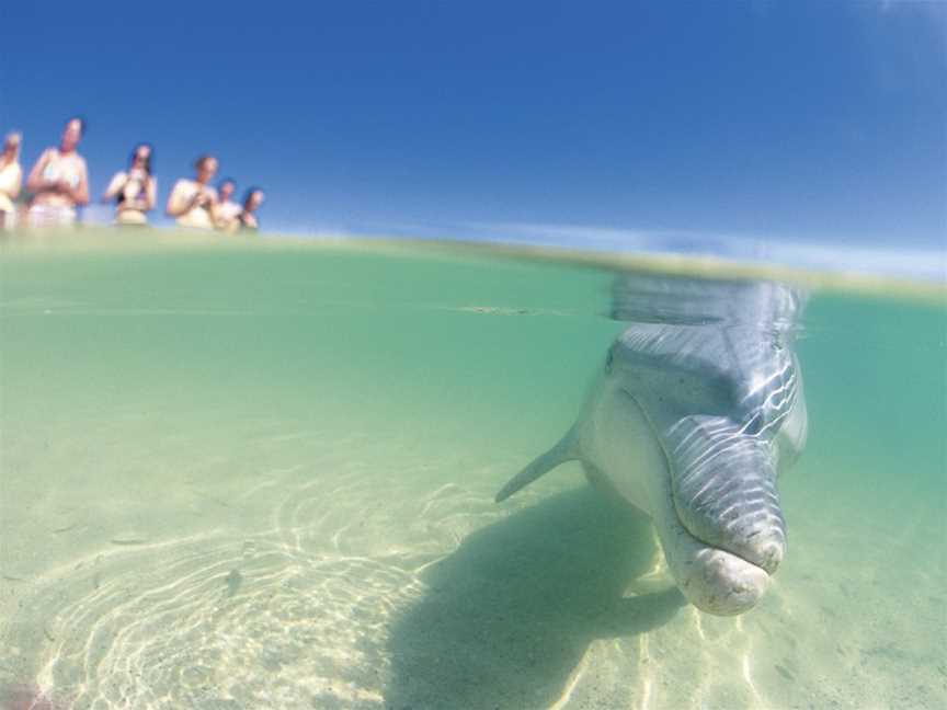 Shark Bay Marine Park