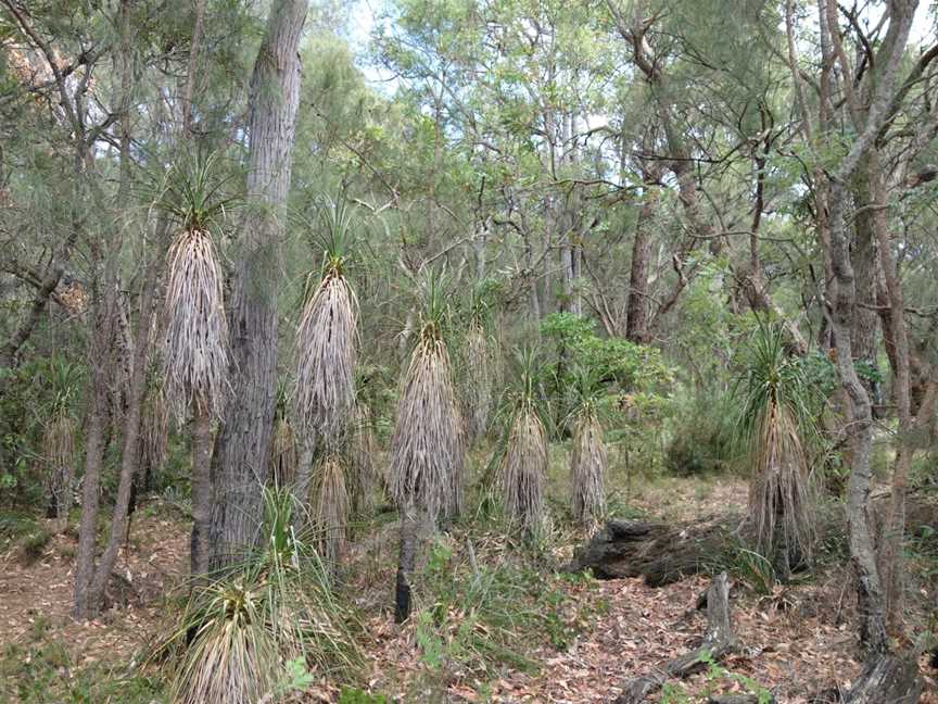 Yelverton National Park