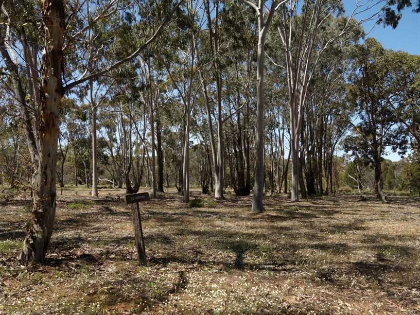 Dryandra Aboretum