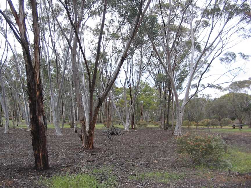 Dryandra Aboretum