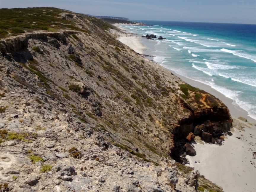 Whalebone Beach