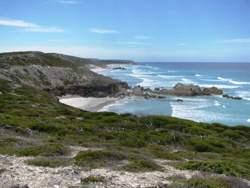 Whalebone Beach