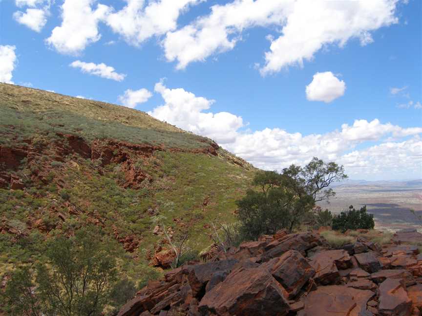 Mount Bruce