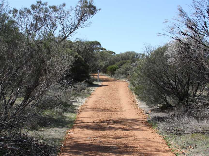 Gathercole Picnic Area