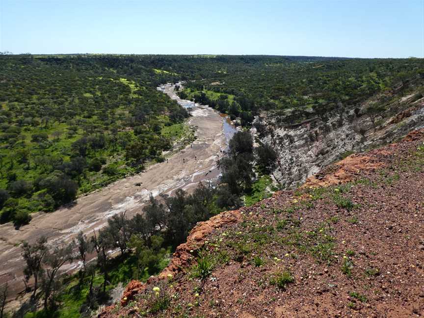 Irwin Lookout