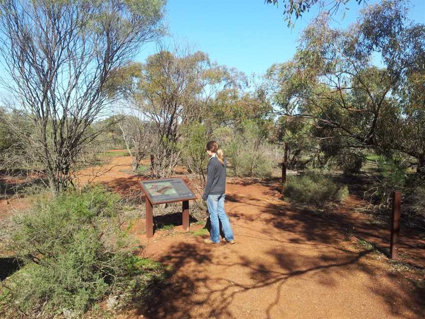 Irwin Lookout