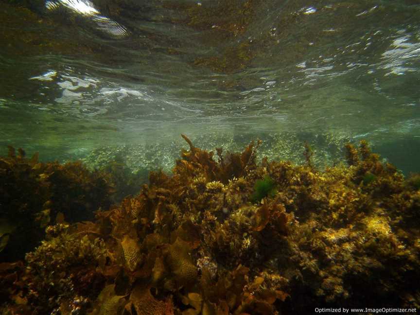 Boyinaboat Reef