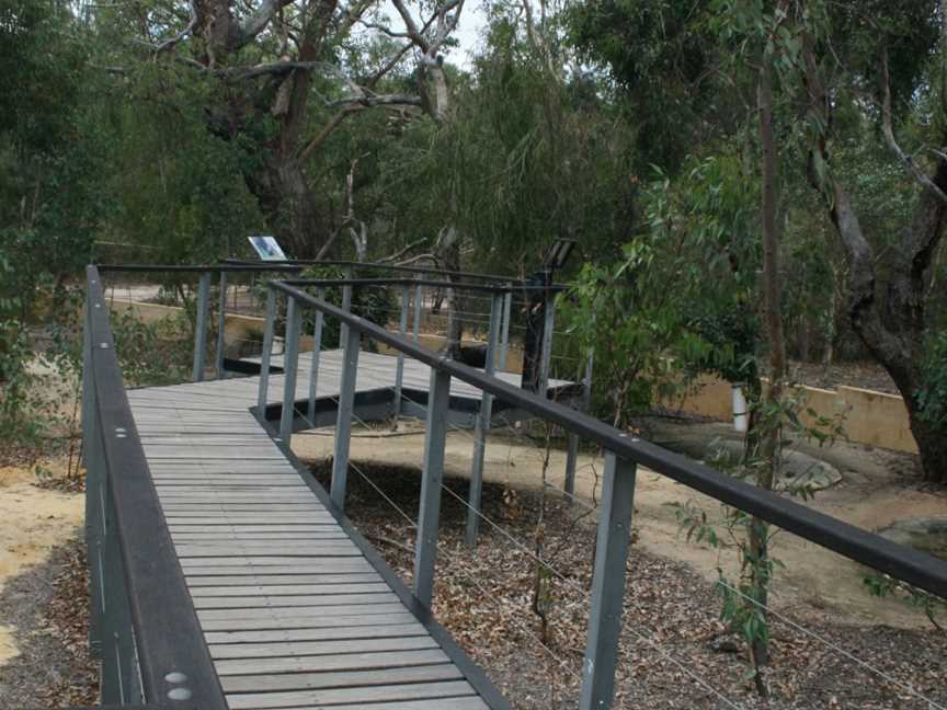 Koala Viewing Area