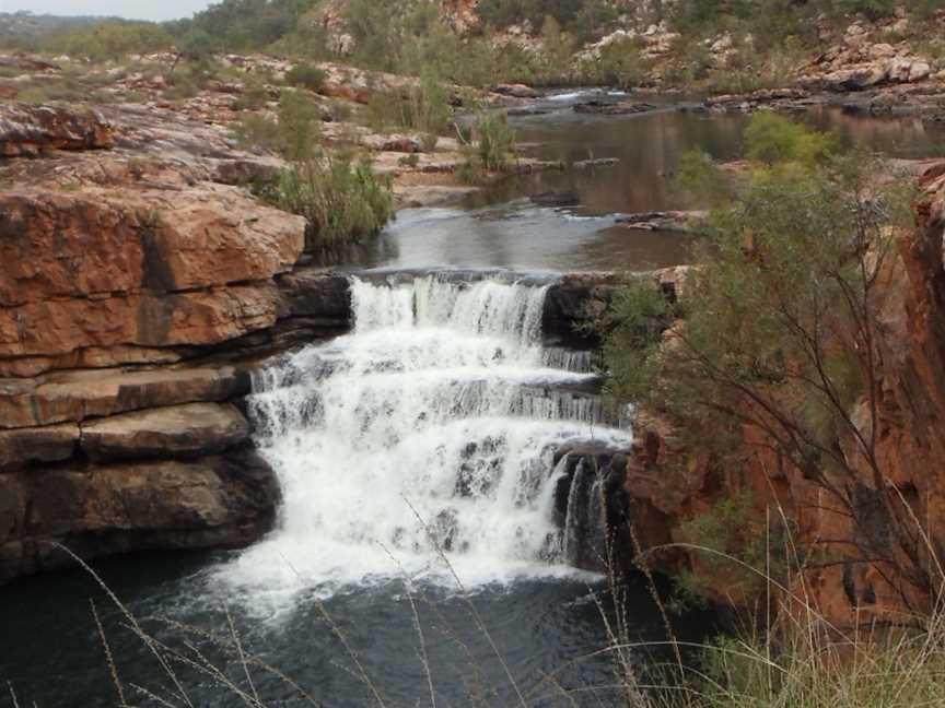 Dalmanyi (Bell Gorge)