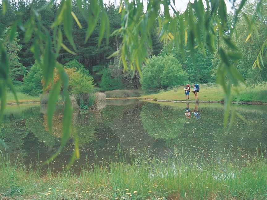 Golden Valley Tree Park, Tourist attractions in Balingup