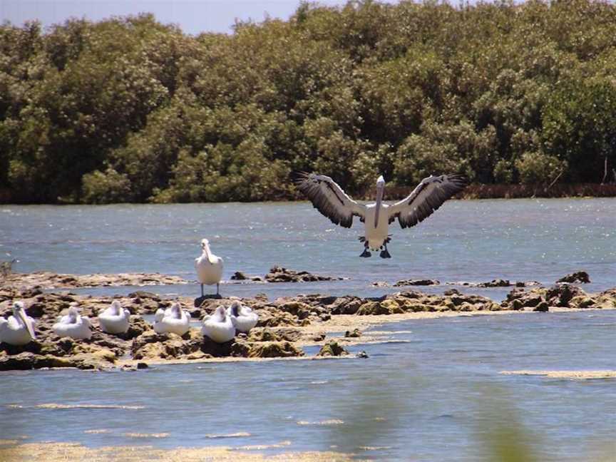 Mangrove Bay, Tourist attractions in Cape Range National Park