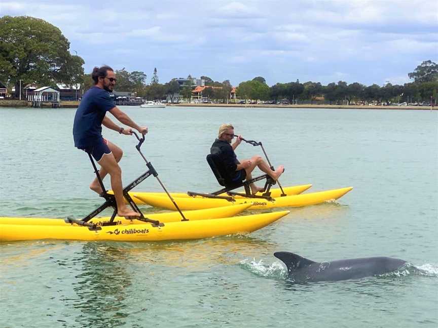 Mandurah Cruises- Waterbike Experiences, Tourist attractions in Mandurah