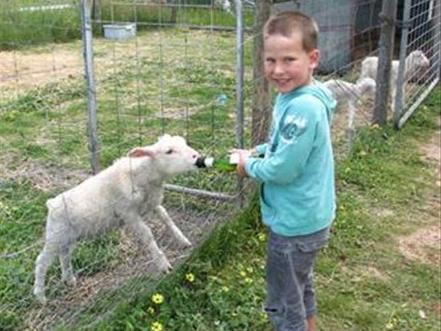 Wonky Windmill Farm & Eco Park, Tourist attractions in Yelverton