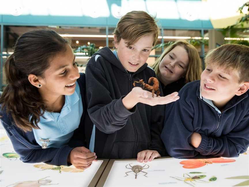 CSIRO Discovery Centre, Acton, ACT