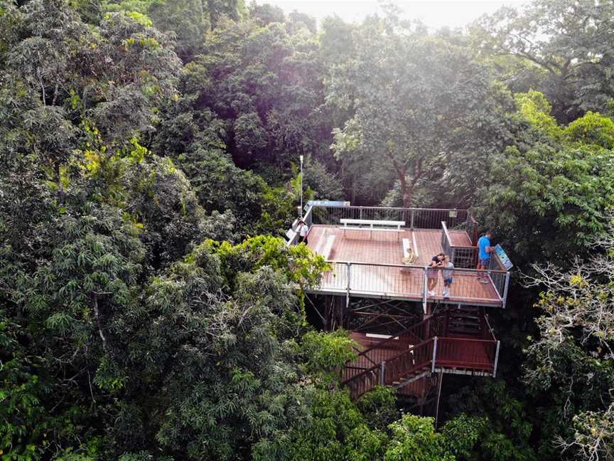 Daintree Discovery Centre, Tourist attractions in Daintree