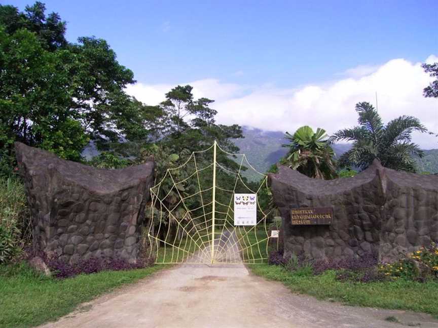 Daintree Entomological Museum, Tourist attractions in Diwan