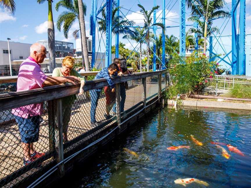 Imaginarium Science Centre, Tourist attractions in Devonport