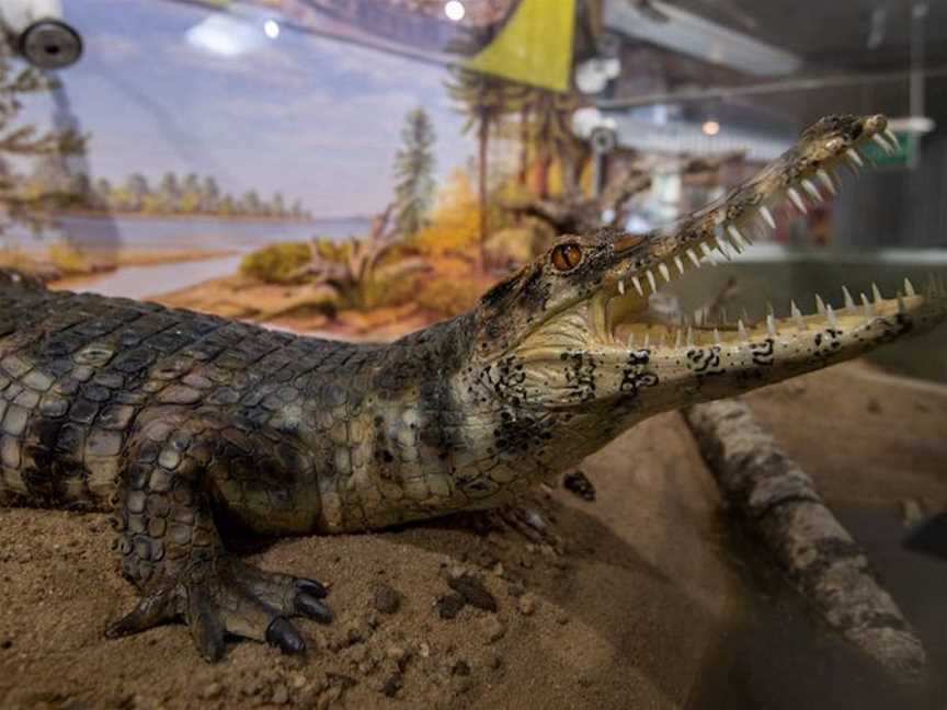 Outer Barcoo Interpretation Centre, Tourist attractions in Isisford