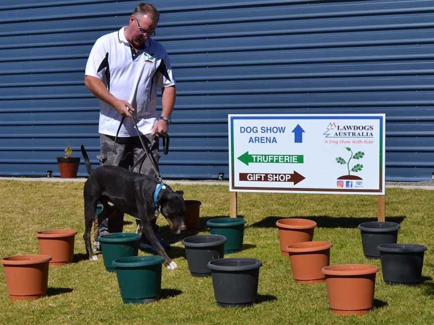 Truffle Discovery Centre Stanthorpe, Tourist attractions in The Summit