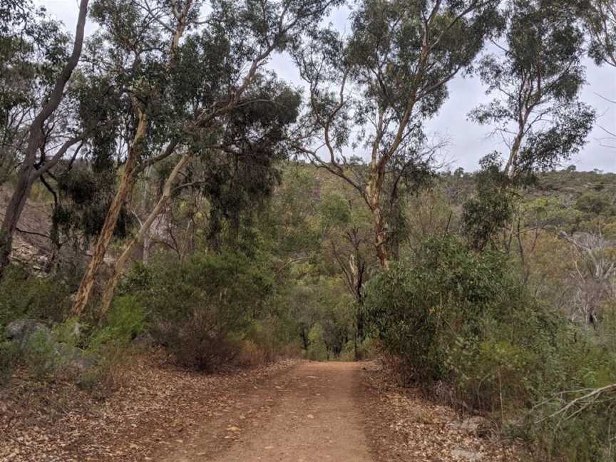 Wungong Regional Park, Tourist attractions in Bedfordale