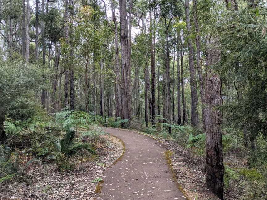 King Jarrah - Wellington National Park, Tourist attractions in Worsley