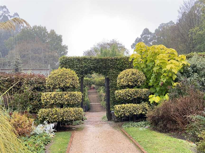 Cloudehill Gardens, Olinda, VIC