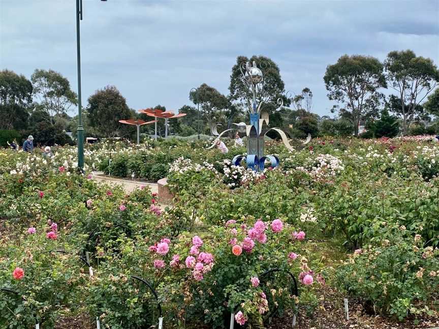 Mornington Botanical Rose Gardens, Mornington, VIC