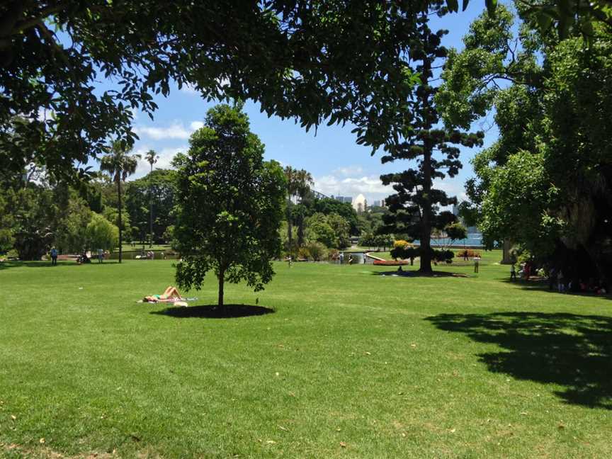 Royal Botanic Garden Sydney, Sydney, NSW