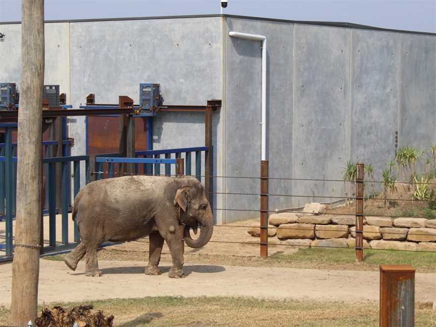 Sydney Zoo, Bungarribee, NSW