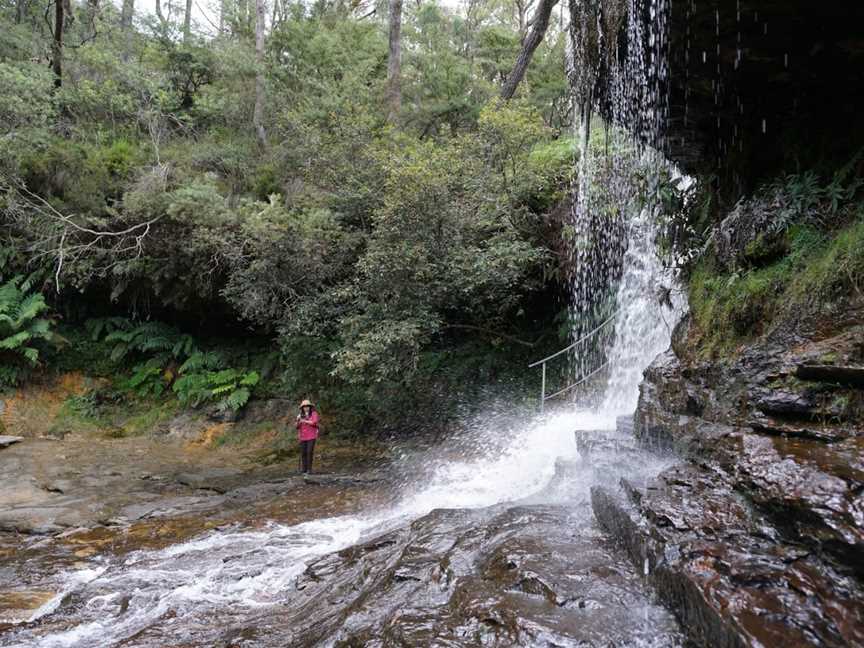 Blue Mountains National Park, Ku-ring-gai Chase,, NSW